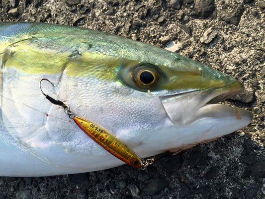 ショアスローのやり方やコツとは？低活性の魚を攻略！